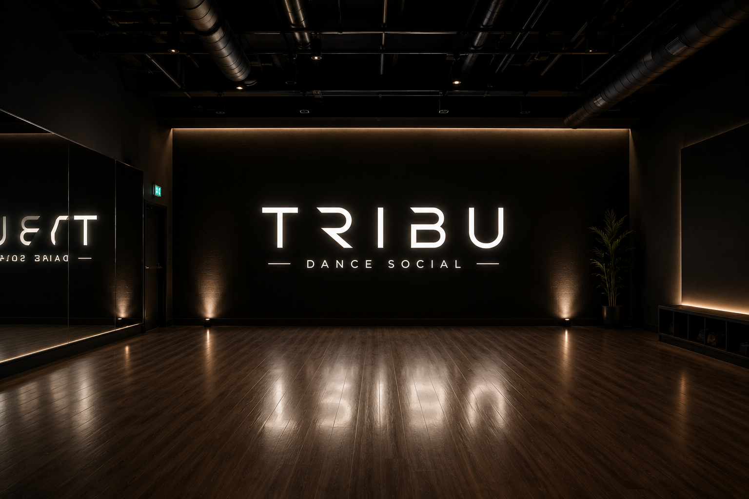 Tribu's warm, modern dance studio in Blacksburg